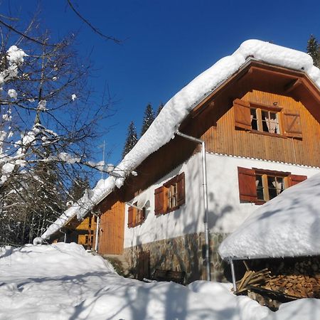 Pohorje House 2 Four Appartmetns Oplotnica المظهر الخارجي الصورة