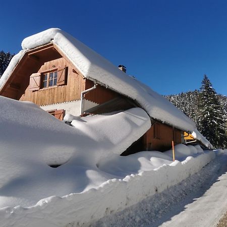 Pohorje House 2 Four Appartmetns Oplotnica المظهر الخارجي الصورة
