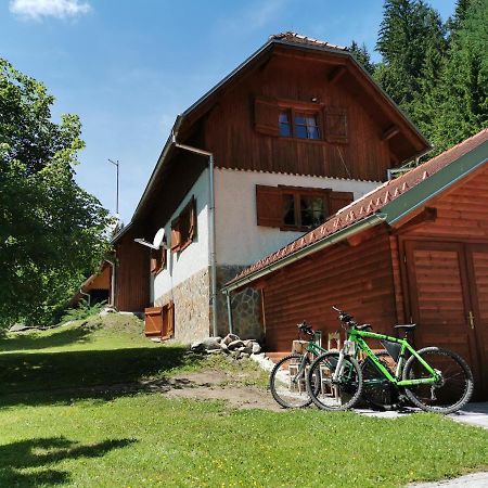 Pohorje House 2 Four Appartmetns Oplotnica المظهر الخارجي الصورة