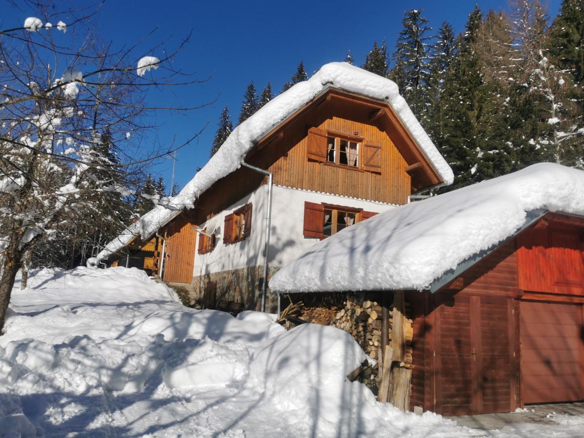 Pohorje House 2 Four Appartmetns Oplotnica المظهر الخارجي الصورة