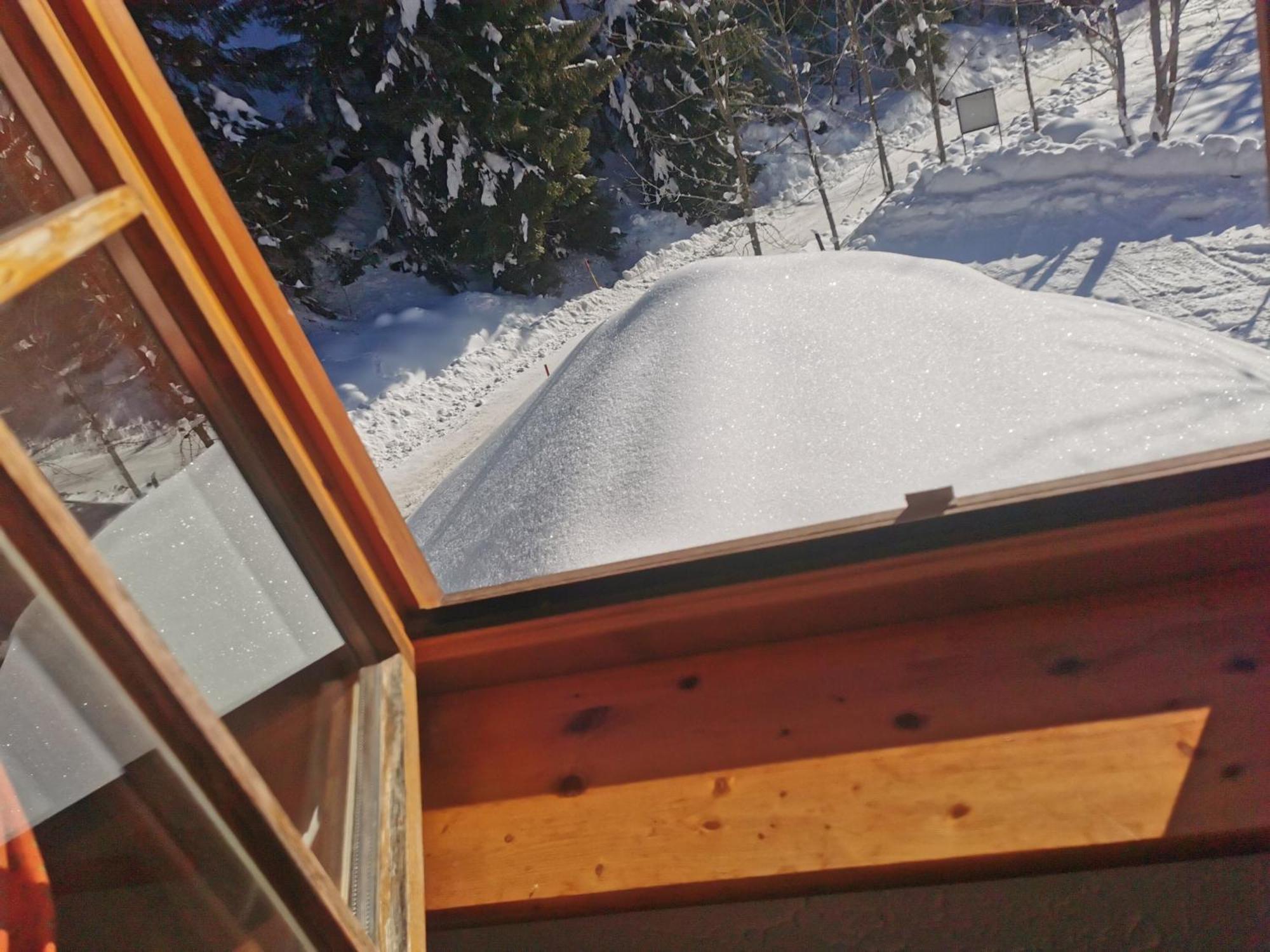 Pohorje House 2 Four Appartmetns Oplotnica المظهر الخارجي الصورة