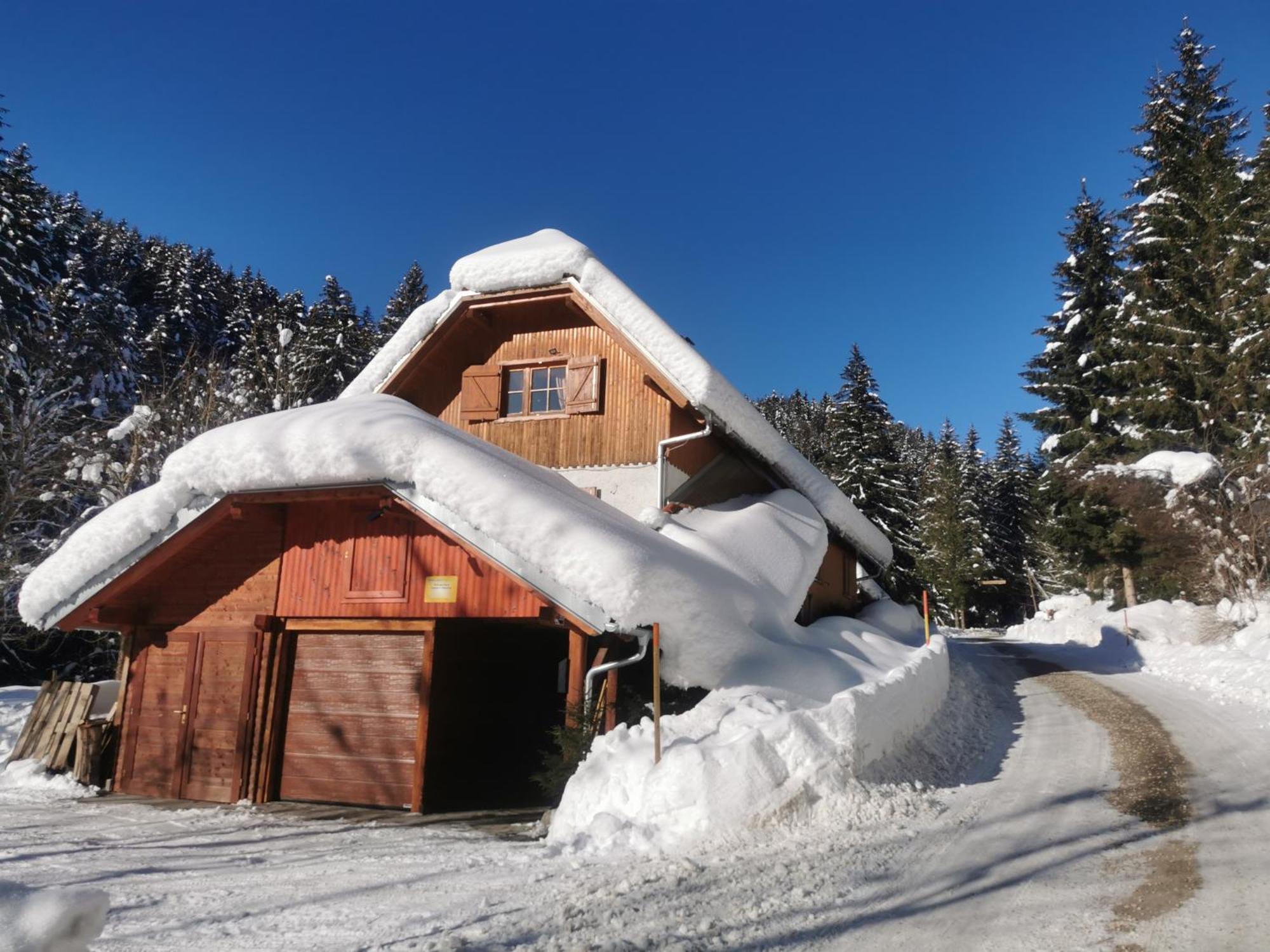 Pohorje House 2 Four Appartmetns Oplotnica المظهر الخارجي الصورة