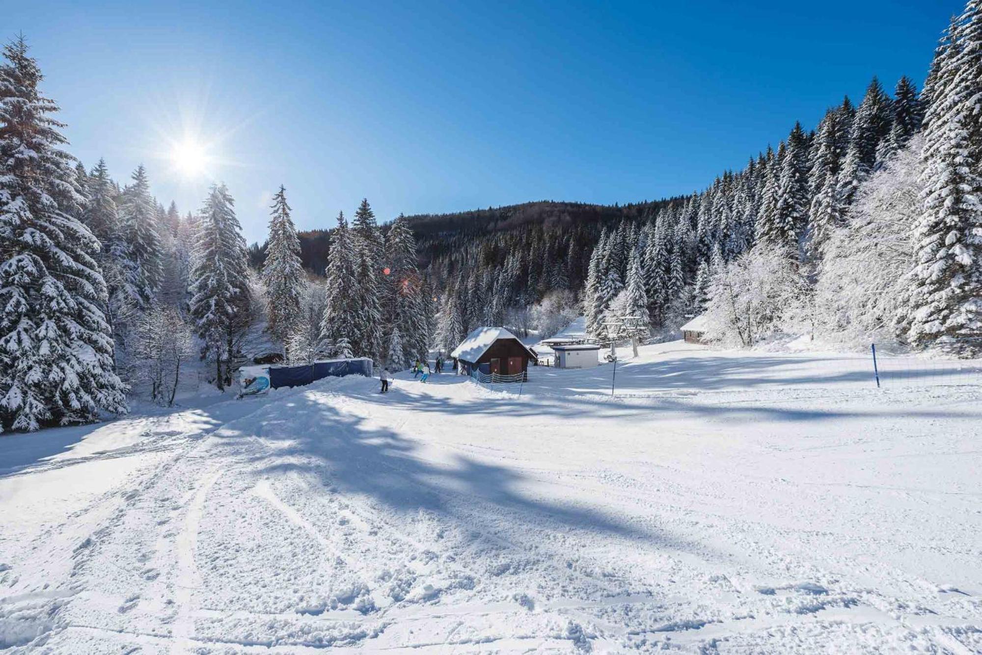 Pohorje House 2 Four Appartmetns Oplotnica المظهر الخارجي الصورة