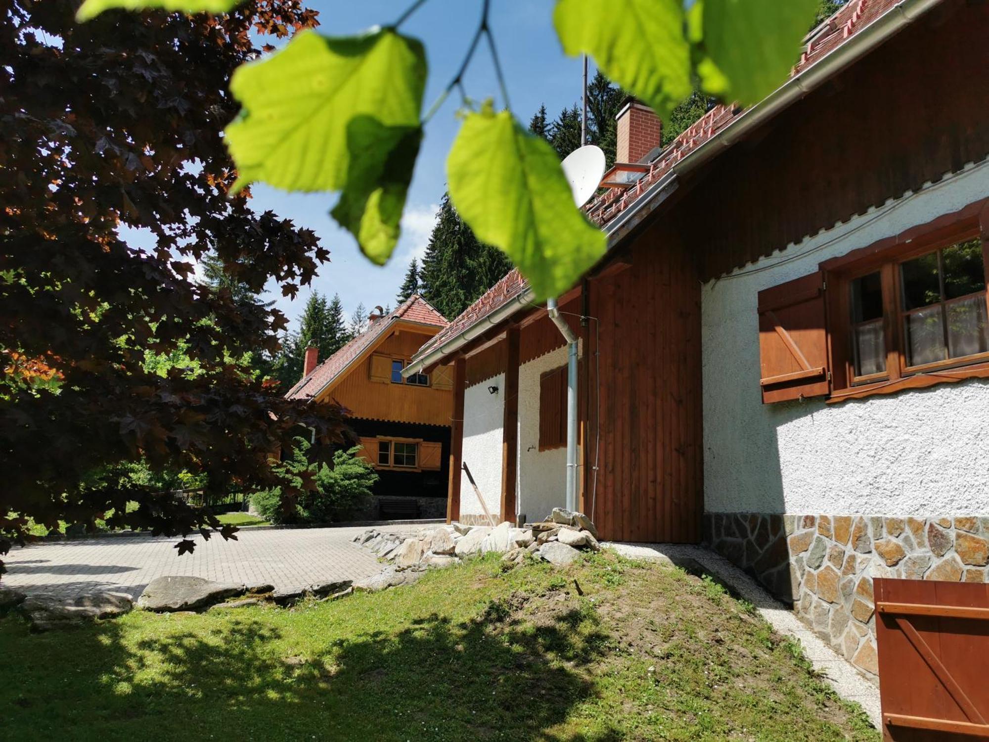 Pohorje House 2 Four Appartmetns Oplotnica الغرفة الصورة