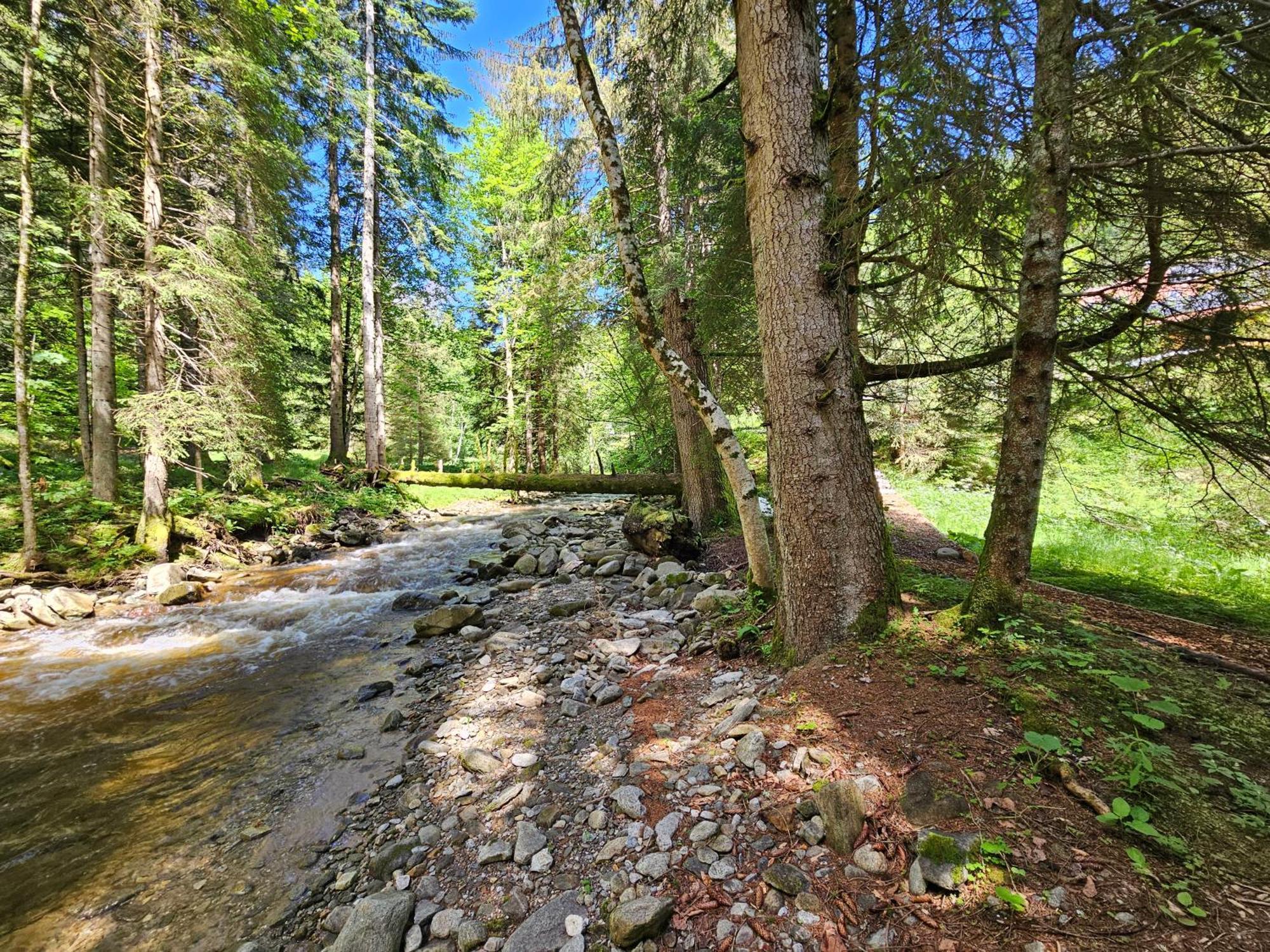 Pohorje House 2 Four Appartmetns Oplotnica المظهر الخارجي الصورة
