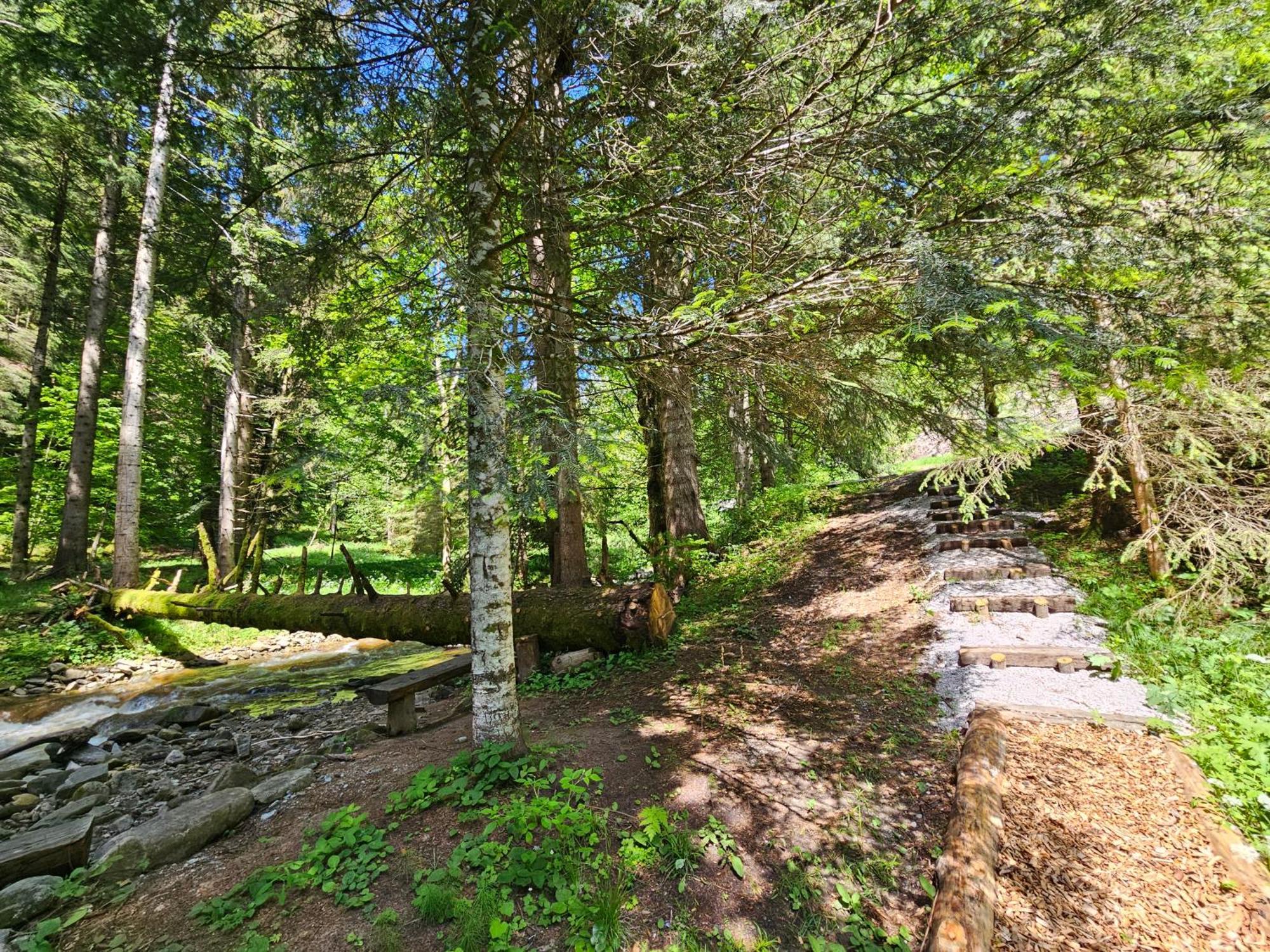 Pohorje House 2 Four Appartmetns Oplotnica المظهر الخارجي الصورة