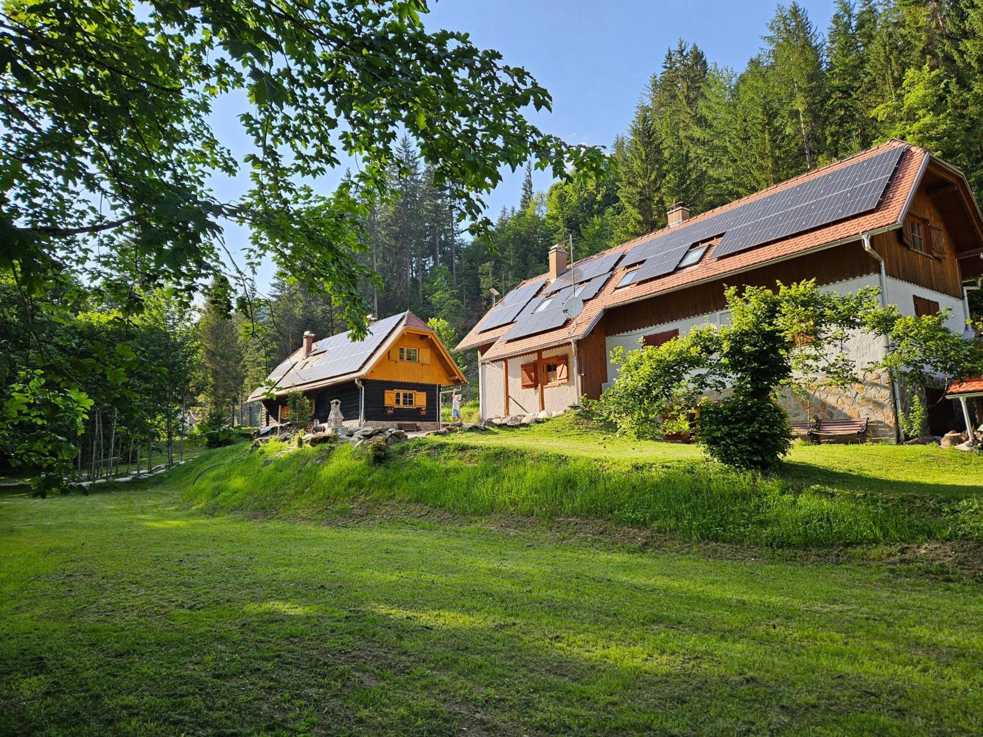 Pohorje House 2 Four Appartmetns Oplotnica المظهر الخارجي الصورة