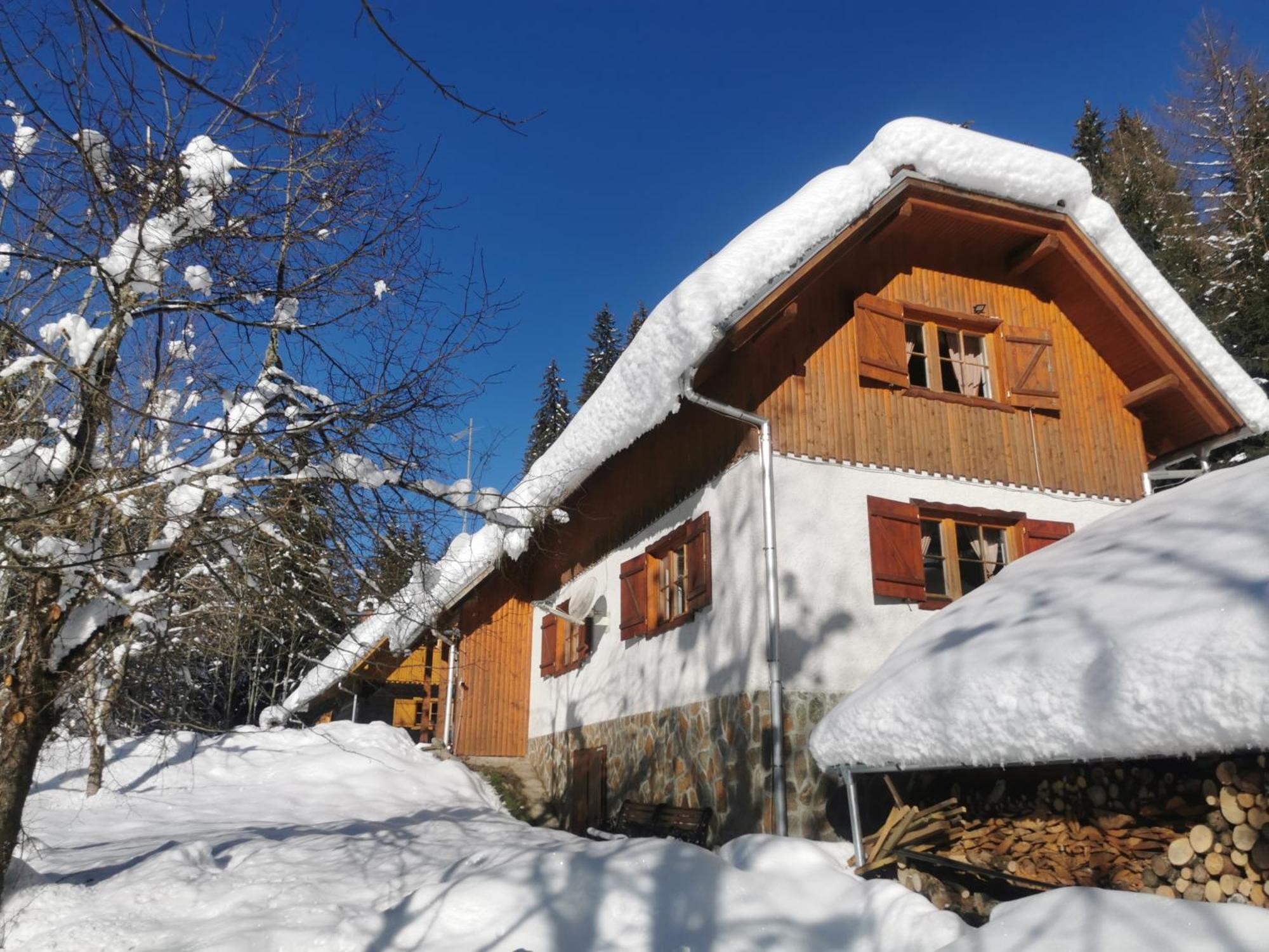 Pohorje House 2 Four Appartmetns Oplotnica المظهر الخارجي الصورة