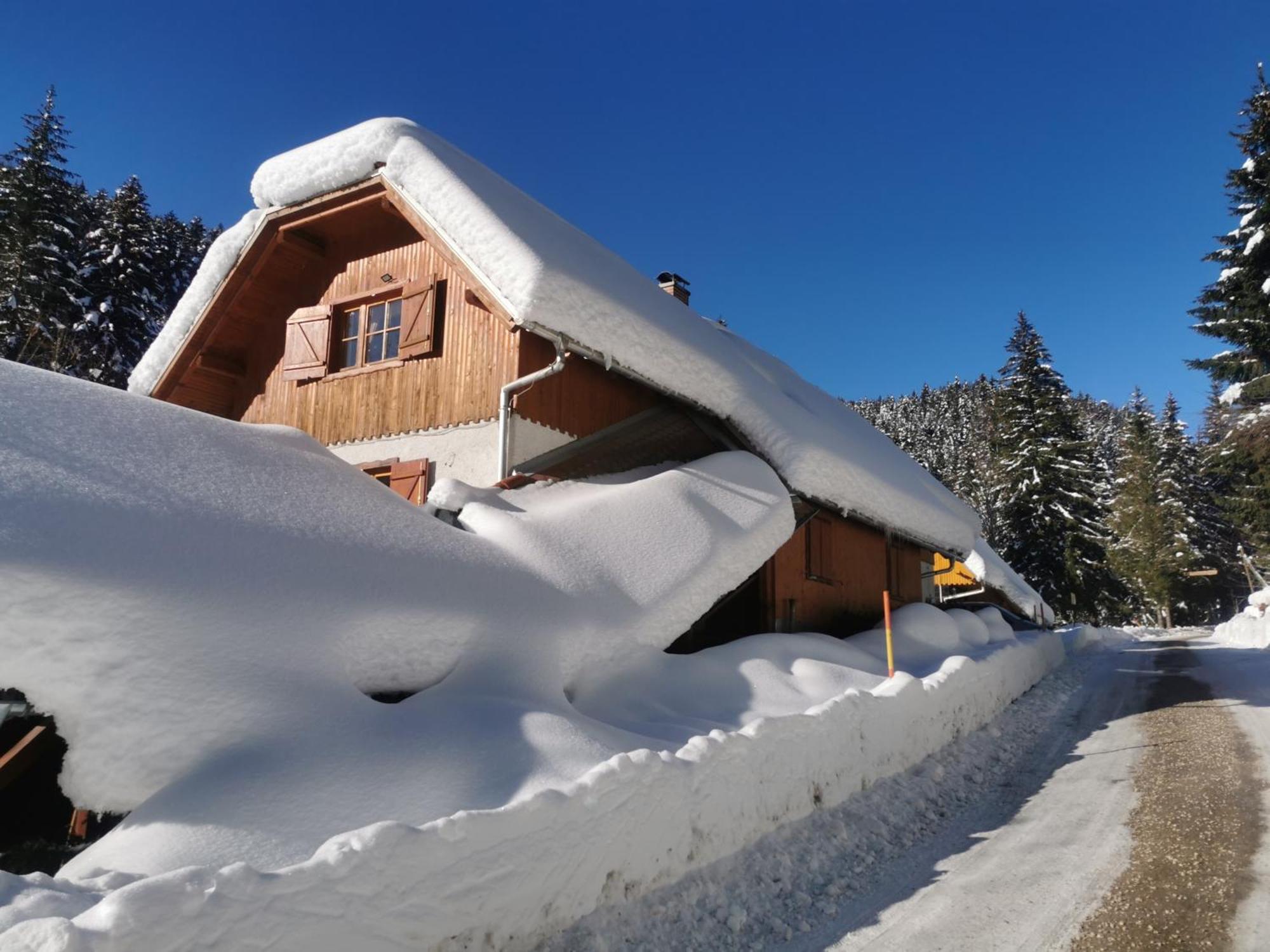 Pohorje House 2 Four Appartmetns Oplotnica المظهر الخارجي الصورة
