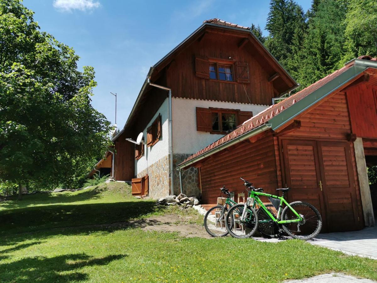 Pohorje House 2 Four Appartmetns Oplotnica المظهر الخارجي الصورة