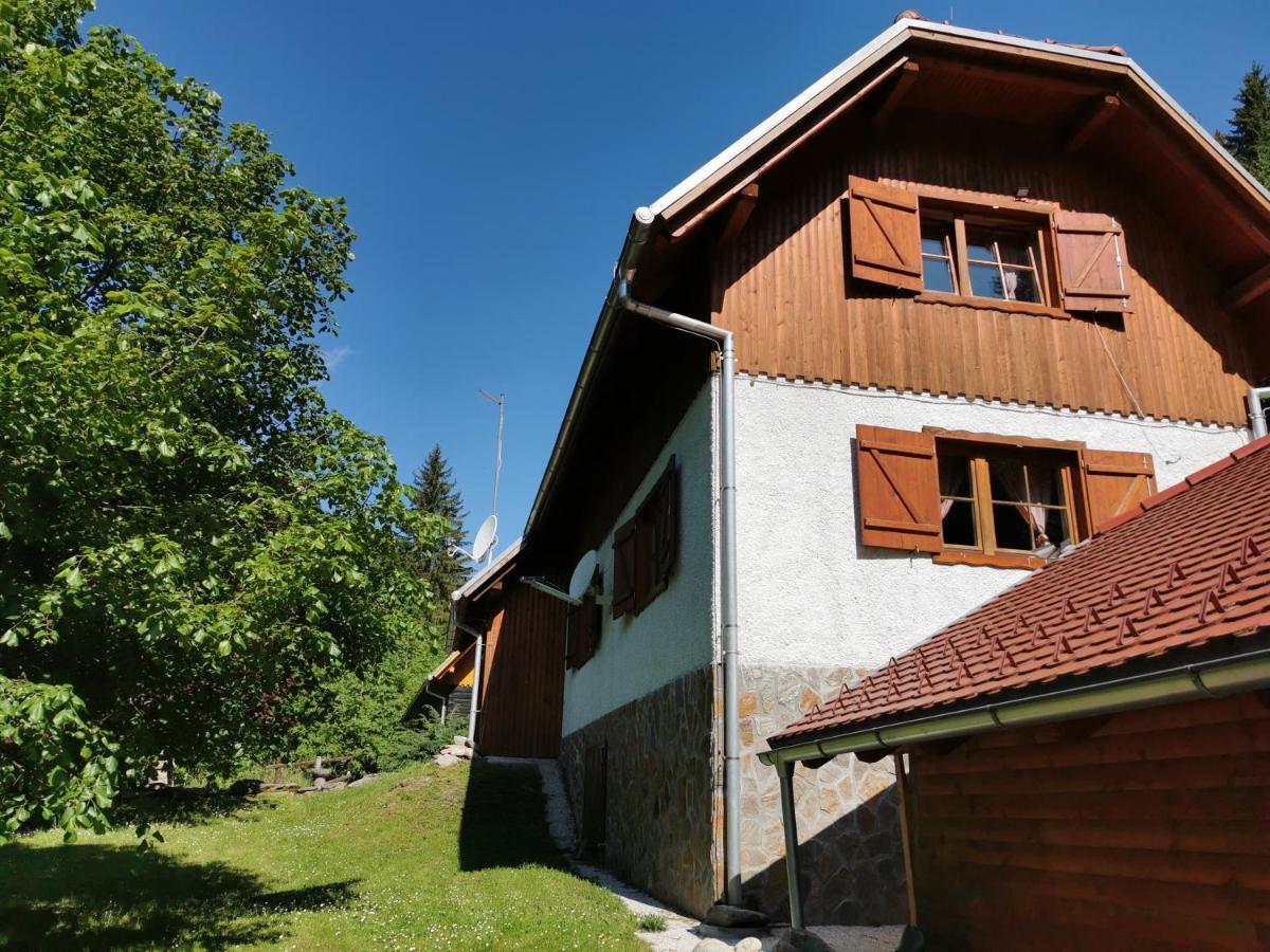 Pohorje House 2 Four Appartmetns Oplotnica المظهر الخارجي الصورة