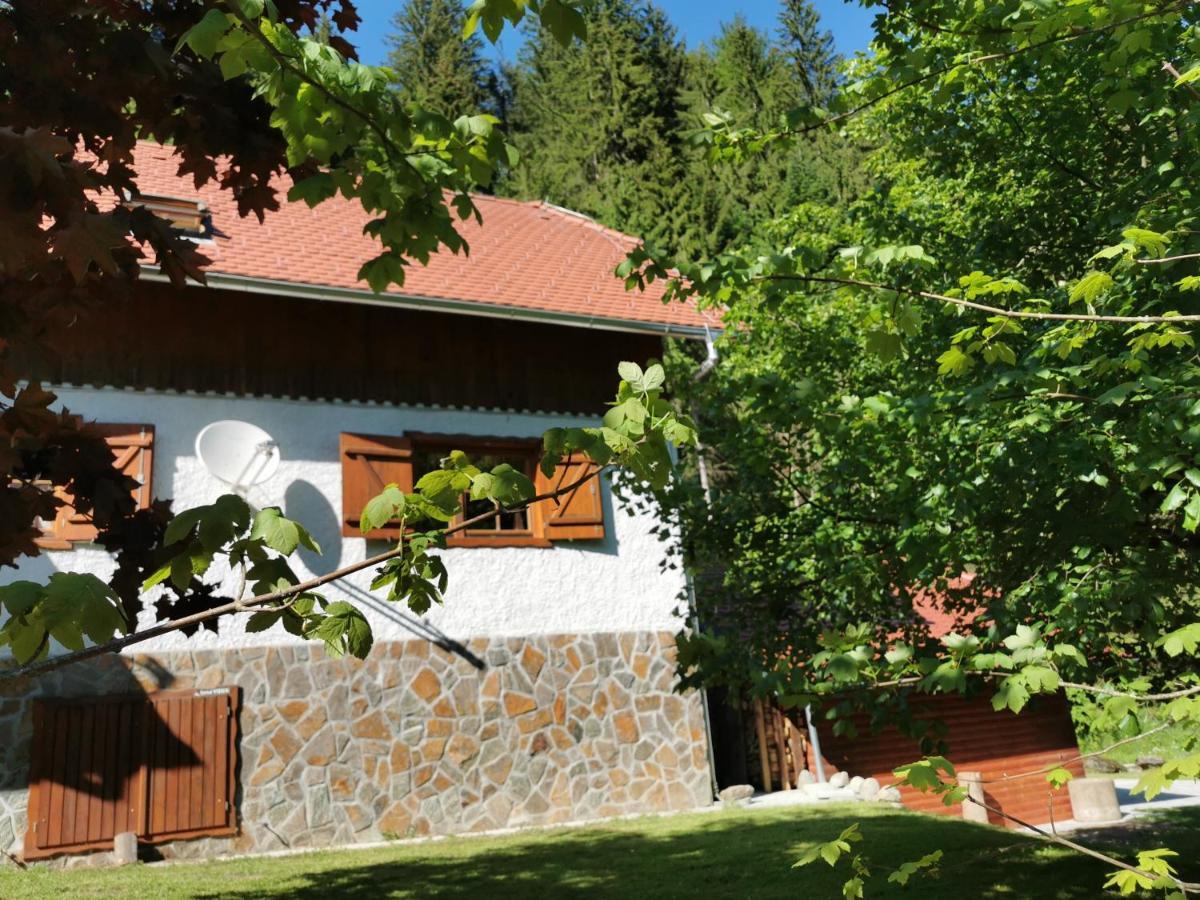 Pohorje House 2 Four Appartmetns Oplotnica المظهر الخارجي الصورة