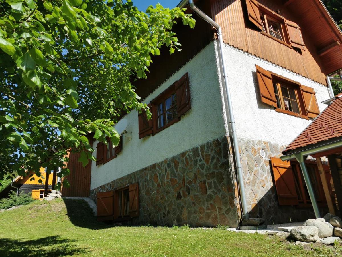 Pohorje House 2 Four Appartmetns Oplotnica المظهر الخارجي الصورة