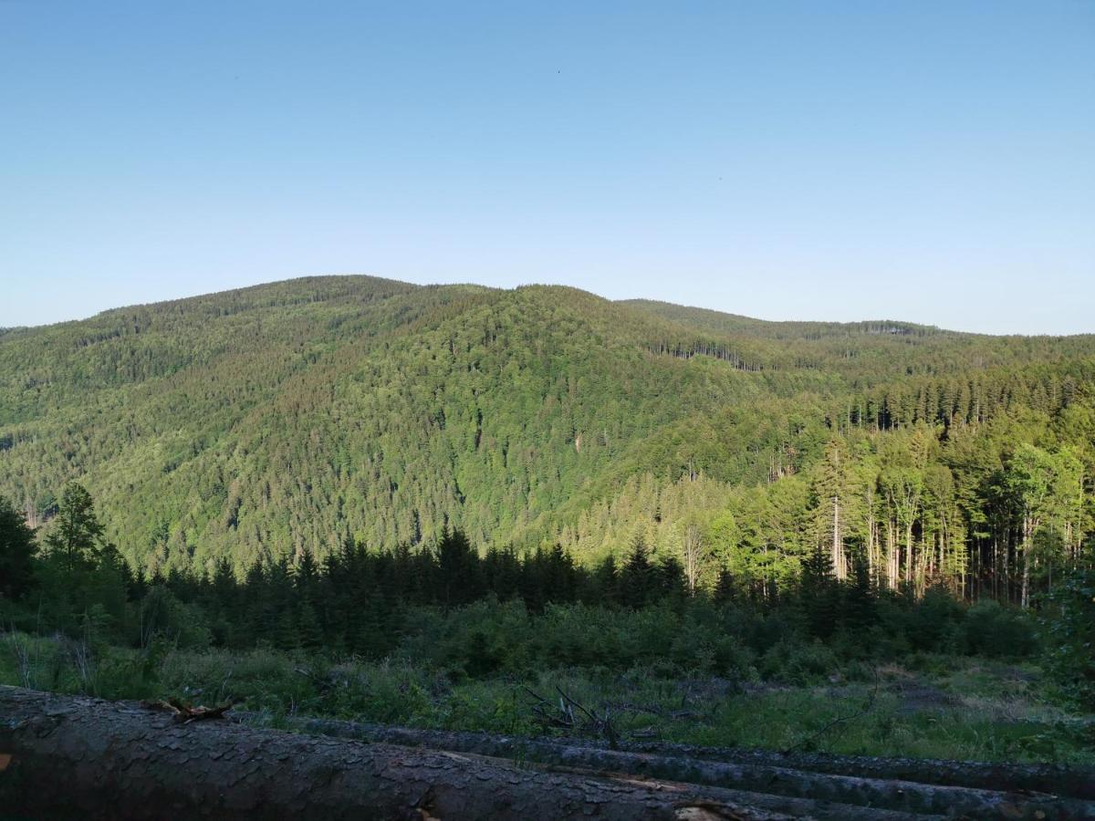 Pohorje House 2 Four Appartmetns Oplotnica المظهر الخارجي الصورة